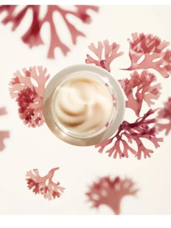 Shiseido Benefiance Wrinkle Smoothing Cream with Bonus Serum Sample, 15ml, NIB - Picture 8 of 10